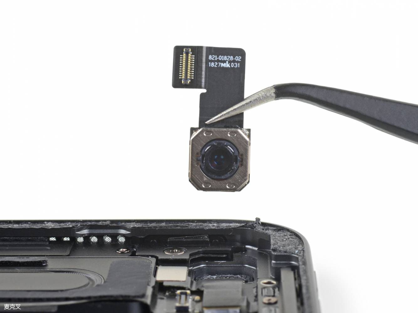 Ps5TMMYdjygGba6c.jpg